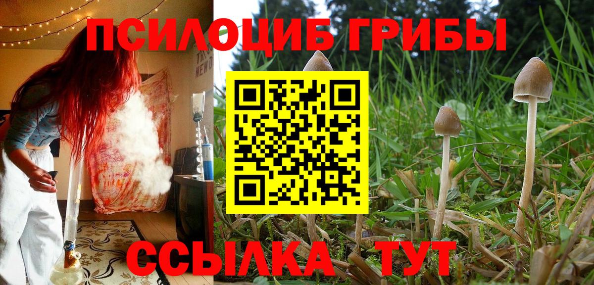 Псилоцибиновые грибы ЛСД Сургут