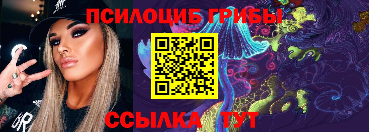 Галлюциногенные грибы Psilocybine cubensis  Вход с VPN  Сургут  Псилоцибиновые грибы Psilocybe 